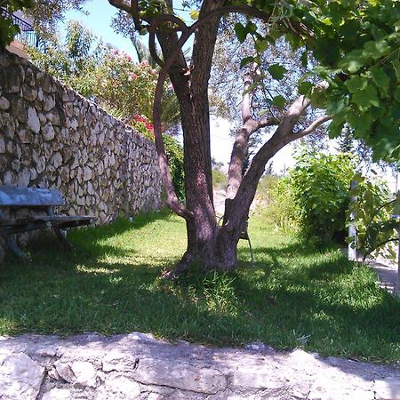 Pansion Laertes Apartment Tsoukaladhes Exterior photo